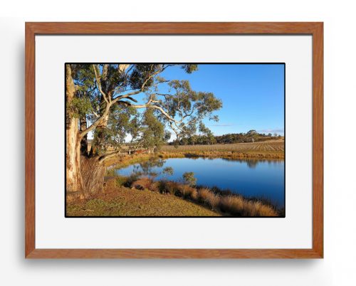 Gosford Art Prize | real living photoart | Laraine Richardson | fine art photography | Central Coast | Australia