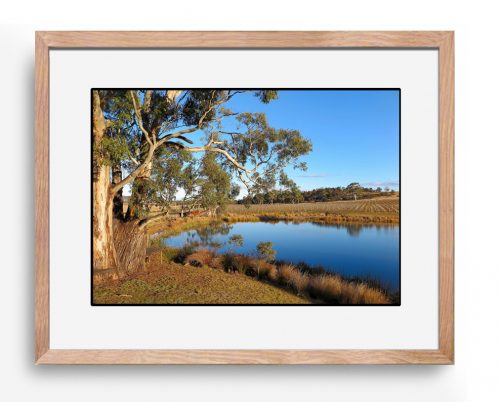 Gosford Art Prize | real living photoart | Laraine Richardson | fine art photography | Central Coast | Australia