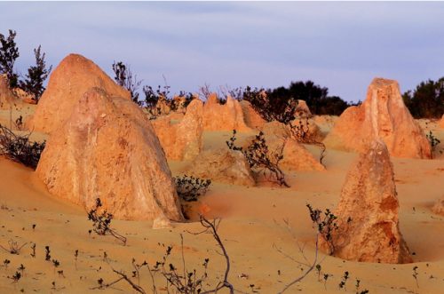 real living photoart | Laraine Richardson | fine art photographic prints | Central Coast | Australia