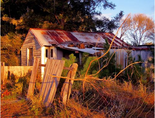 real living photoart | Laraine Richardson | fine art photography | Central Coast | Australia