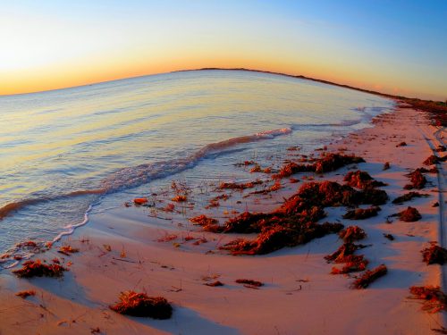 real living photoart | Laraine Richardson | fine art photography | Central Coast | Australia