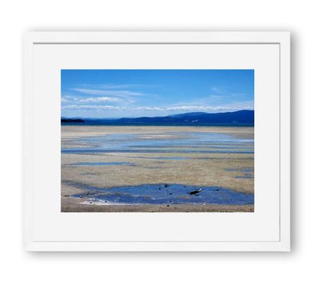 Bruny 5